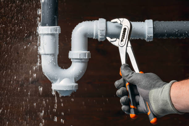 Professional Plumbing technician working in Wonder Lake, IL